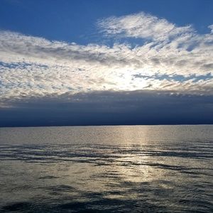 Meet your Posher, Carly